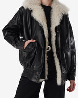 APOLLON image number null