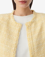 ZAMIA image number null