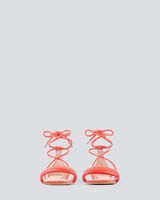 PANORA image number null