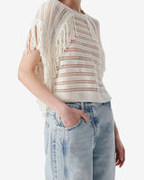 PAULIN image number null