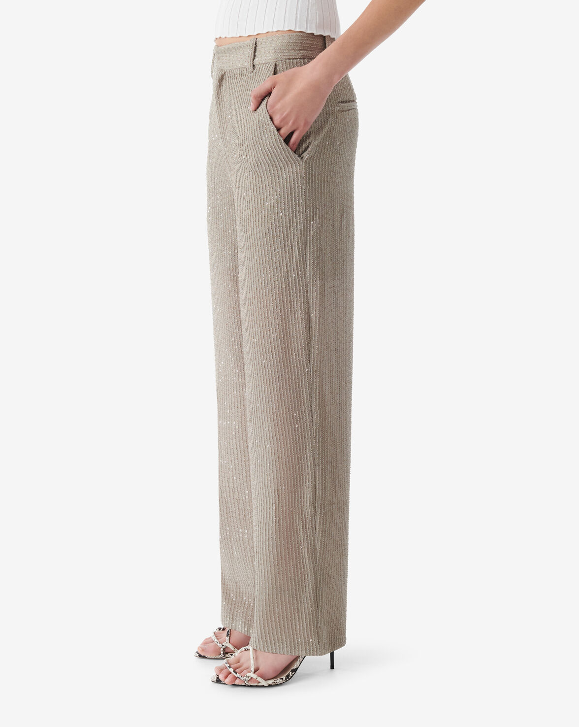 MORINE image number null