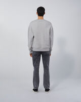 PALMOS image number null