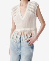 POLLY image number null