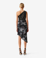 CARTINA image number null