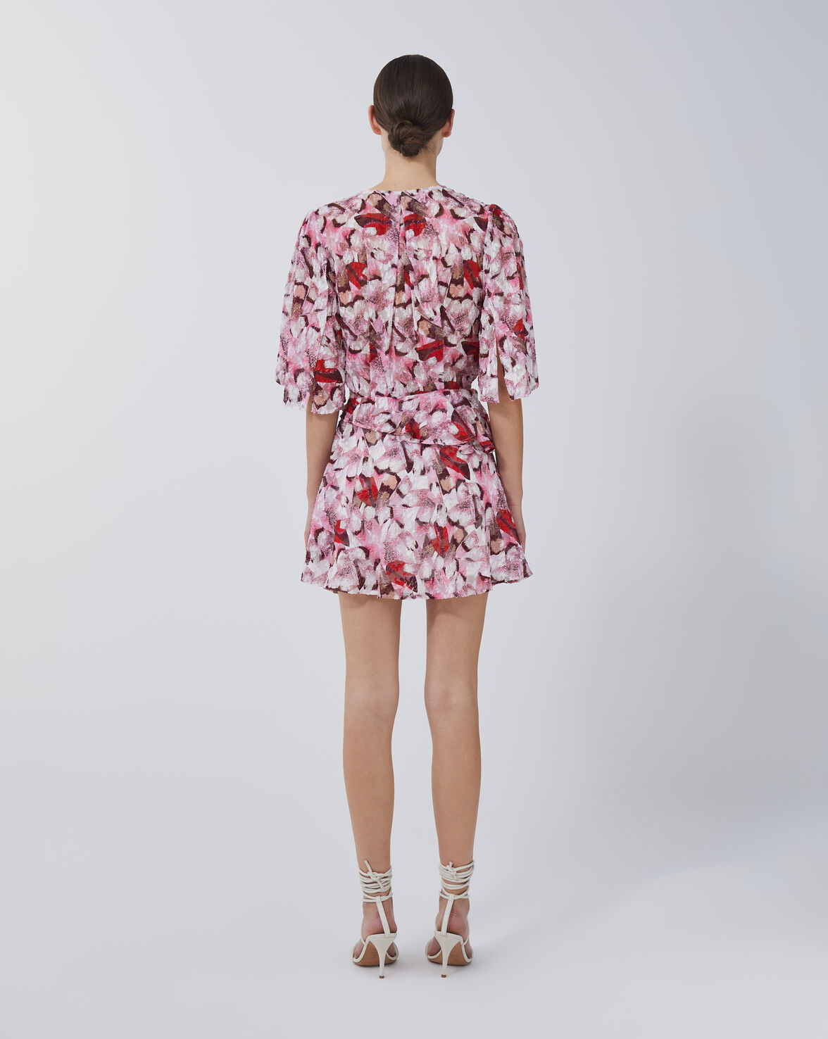 CARLINA image number null