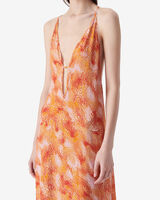 IDILA image number null