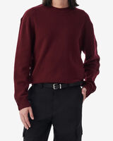 DARYLL image number null