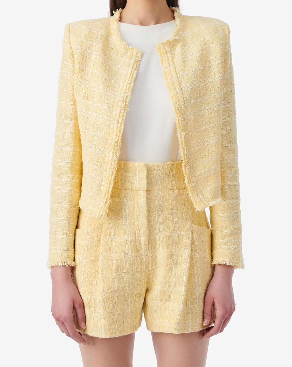 ZAMIA image number null