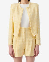 ZAMIA image number null