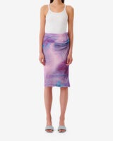 LEONIDE image number null