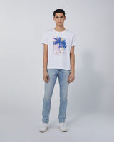 AMELO image number null