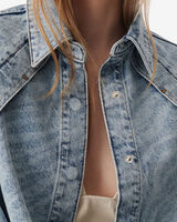 ESLEM image number null