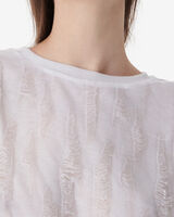 HAICE image number null