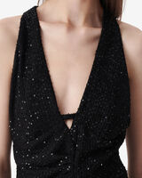 MINNIA image number null