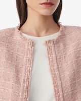 ZAMIA image number null