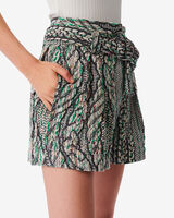 ABRAMI image number null