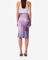 LEONIDE image number null