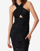 CALVINO image number null