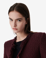 SHAVANI image number null