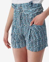 RASINE image number null