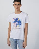 AMELO image number null