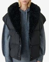 KORALY image number null