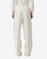 FABIAN image number null