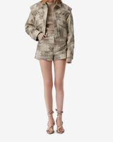 MISA image number null