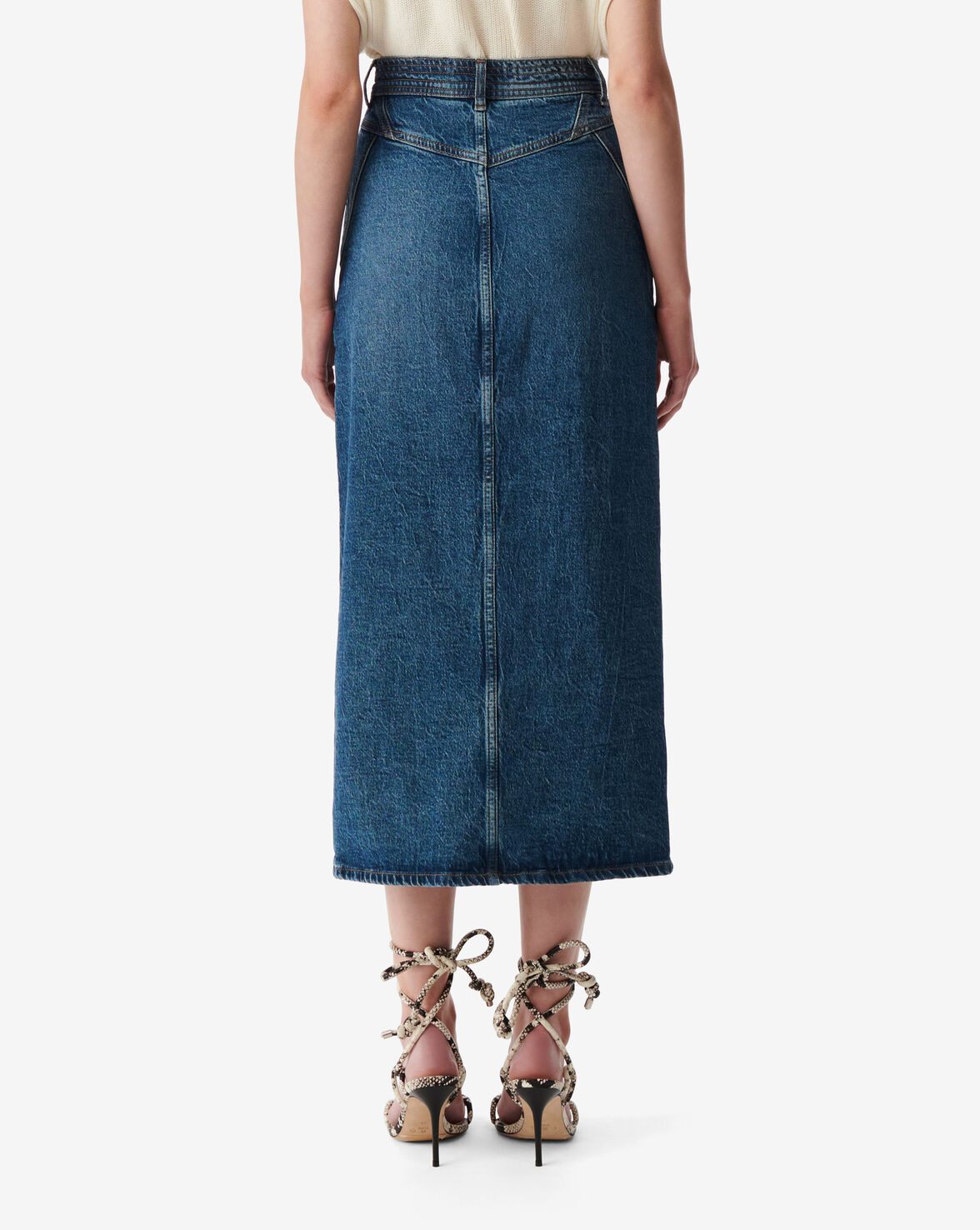 GARICE image number null