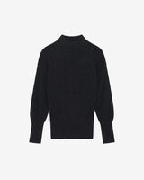 CAMELIA image number null