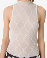 DELICE image number null