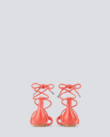 PANORA image number null