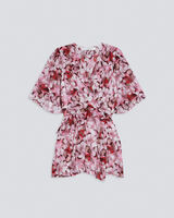 CARLINA image number null