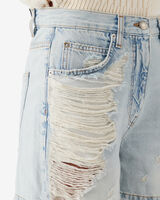 SASCHA image number null