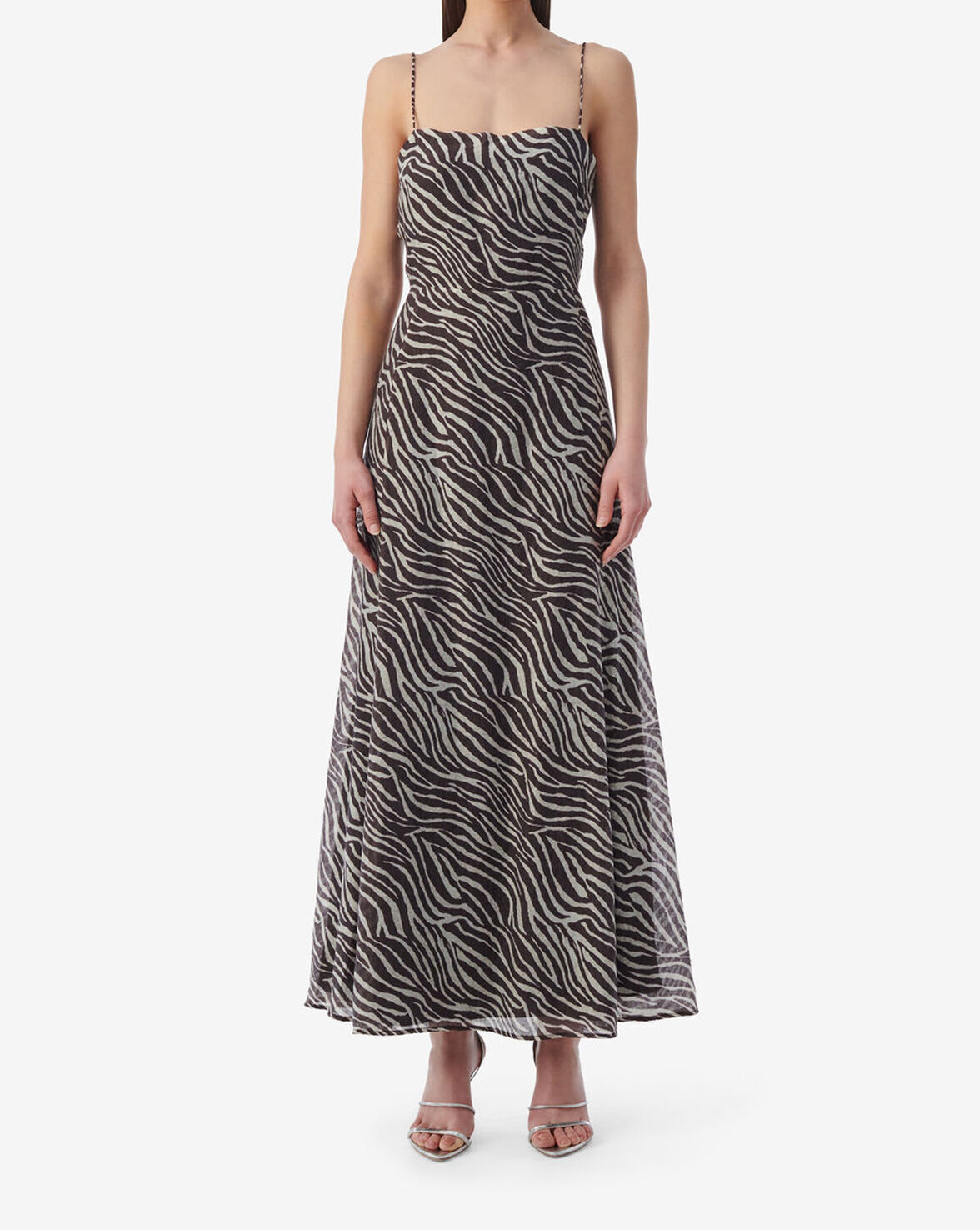 FELISSE1 image number null