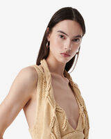 DAISEY image number null