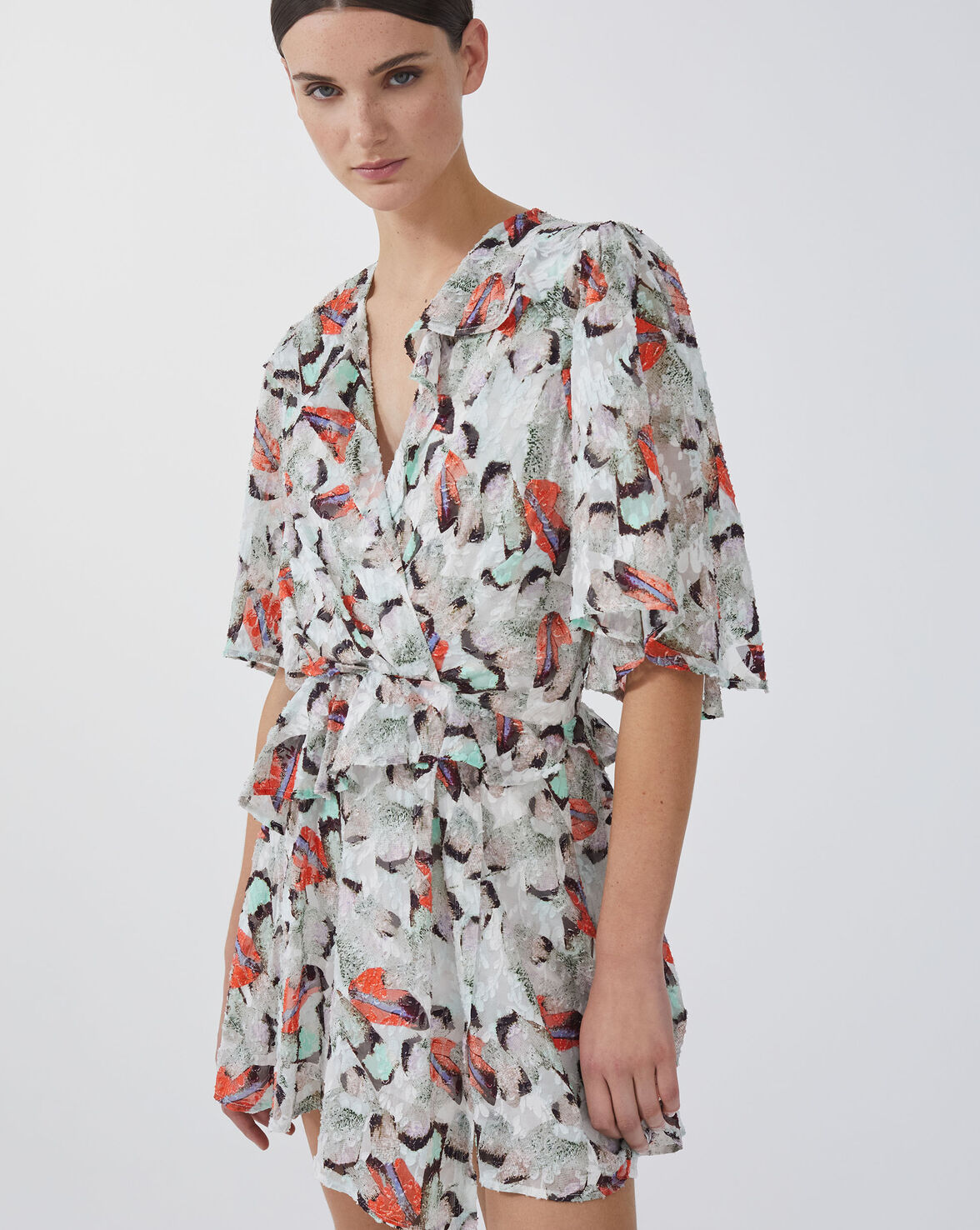CARLINA image number null