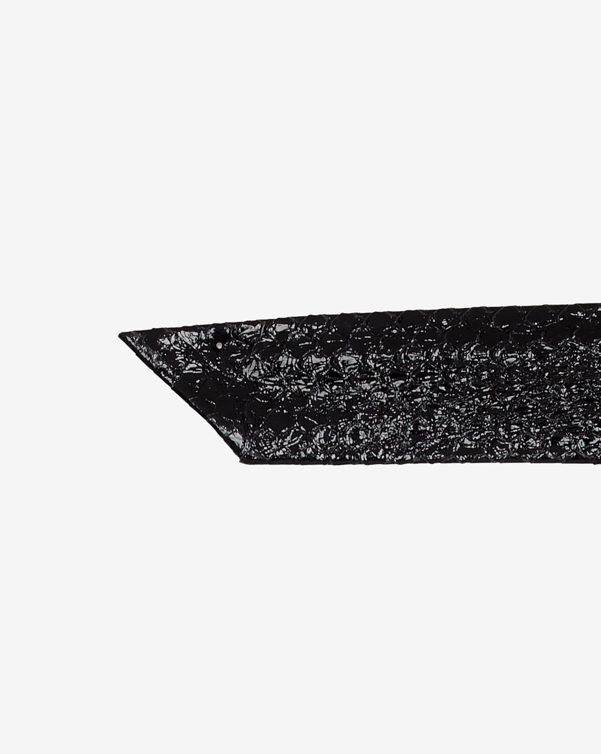 NERA REPTILE image number null
