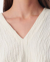 HILARIA image number null