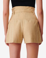 DIAN image number null