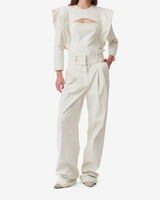 FABIAN image number null