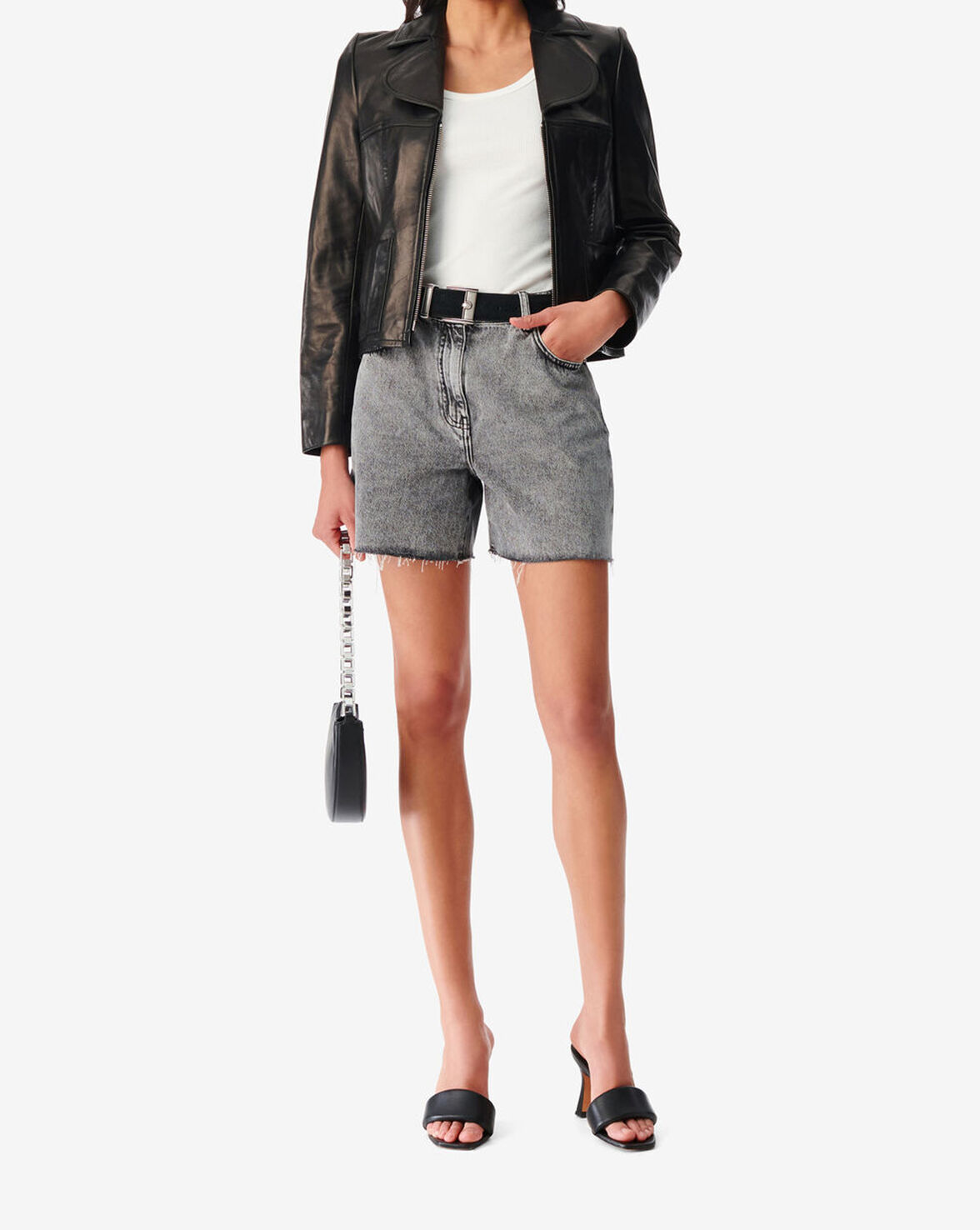 OFELIA image number null