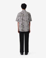 ZENO image number null