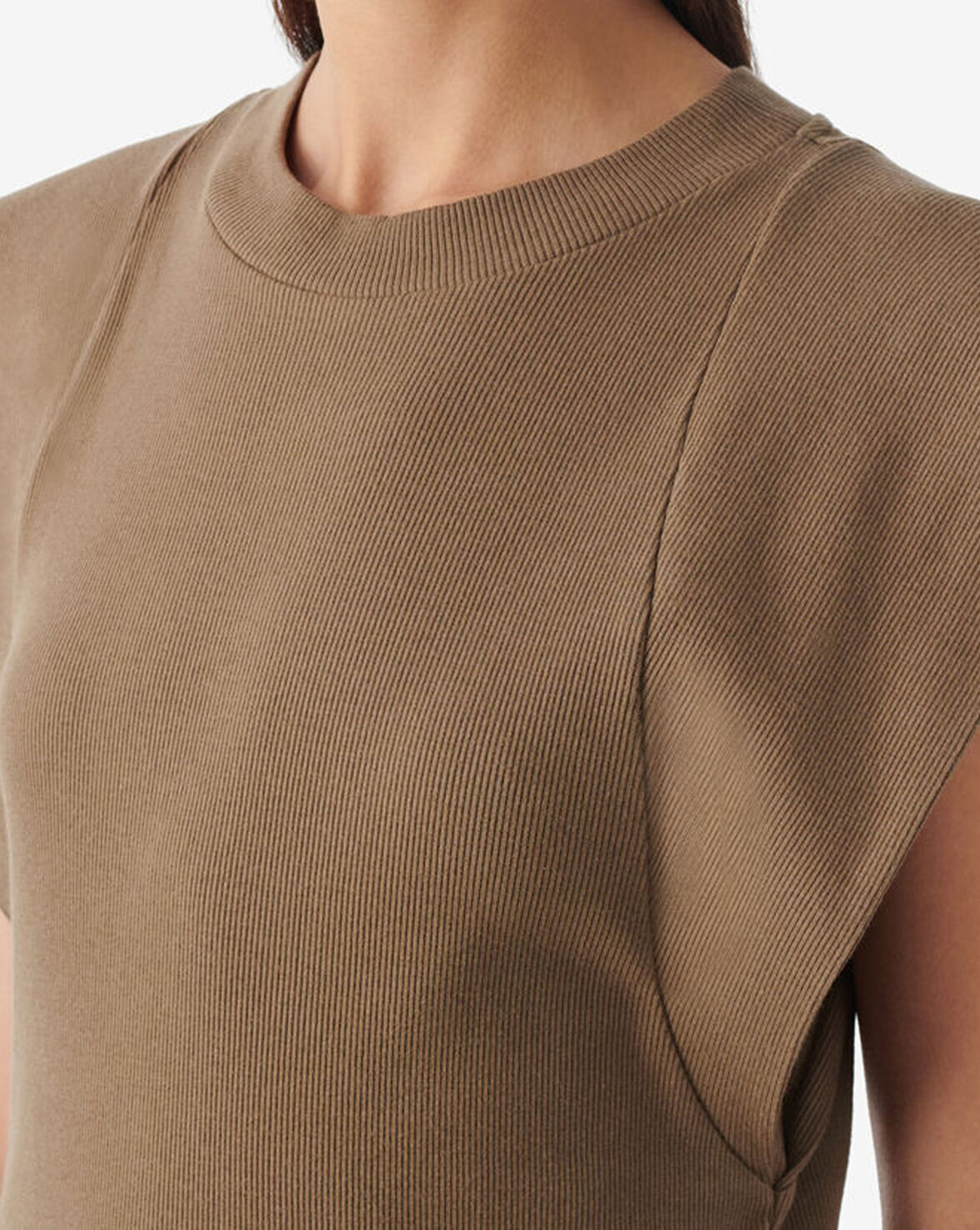 PALOMA image number null