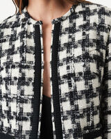 PELIPA image number null