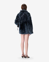 VERNONA image number null