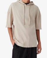 GOMINI image number null