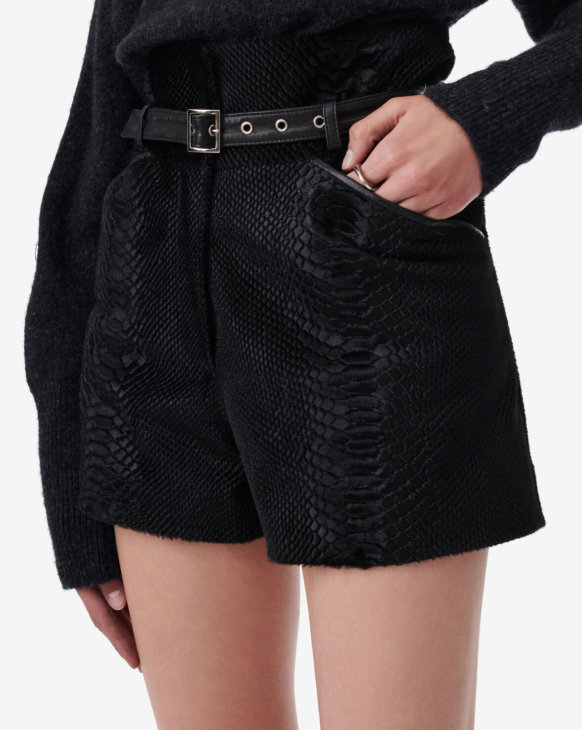 PALEA image number null