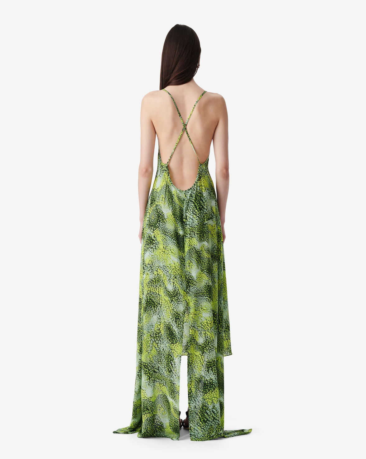 IDILA image number null