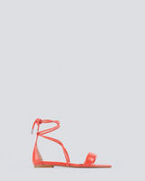PANORA image number null
